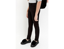 20240160013   Freesia   ������(������).jpg