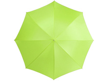 ���� Karl 30" ������������, ���� ����: 412 RUB ������� / ���: 961769317