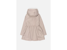 20240630005   Alstomeria   �������(����).jpg