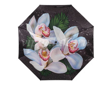 Zont-zhenskiy-163-diniya-3-slozh-s-a-satin-fotoprint-na-polnyy-kupol 21.jpg