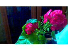 ���������� ��-�������