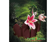 ���������� "������", 3 �����, ���������� ����: 249 � - 4 ��