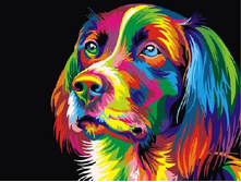 ������� �� ������� EX 5251 �������� ��� 30*40 ����: 300.00 RUB