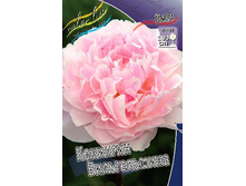 179,7���. ���� �������� ������������.jpg