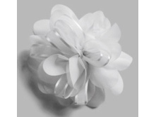 20206330153   Wolter   �����.jpg