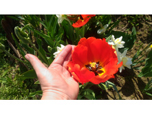 P 20180515 093541.jpg