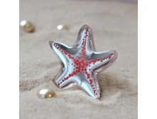 ����� Asteriidae �������/������.���� � ���� ��������