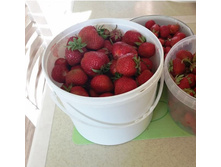 �������� �� ������� ������������ �-��