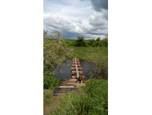 IMG 20180610 123102.jpg