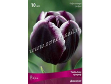 ������� �������.jpg