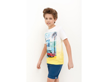 20110420035   Shark   �����(������).jpg