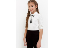 20240100013   Syas   �������.jpg