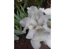 20180606 191237[1].jpg