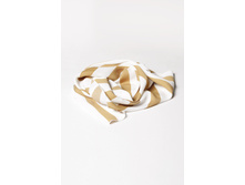 AVS.010 ���� �������.jpeg