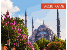 ������� �� ������� GX 24744 ������� � �������� 40*50 ����: 395.00 RUB