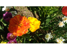 P 20180515 093516.jpg