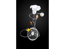 85��� ����� 3-1918-1-CR G4.jpg