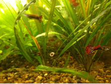 IMG 20180601 182201947.jpg