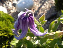 ����� ������� ��������)