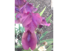 20180521 153557[1].jpg