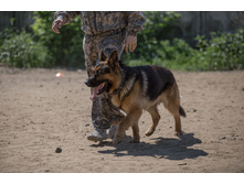 ������������� �� ��, ����� �������� 17.06.2016�. �������� �����