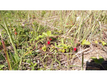 IMG 20180616 165126.jpg