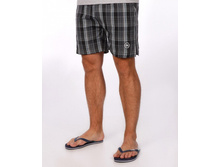 SSL CL. ���� 175 ���.