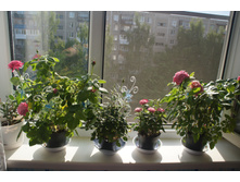 DSC00020.JPG