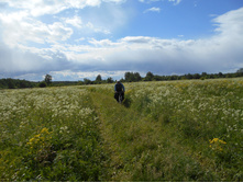 DSCN1293.jpg