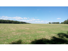 IMG 20180616 102701.jpg