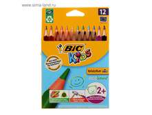 ��������� ����������� 12 ������ BIC Kids Evolution ECOlutions, ����������� ���.1314702 ���� 211,79 ���.jpg