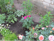 �����/���� ���� Heidi Klum.JPG