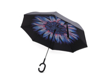 ���� ����: 693 RUB ������� / ���: 961683256 ��������: ����-������ (�����������), ������ 80 ��