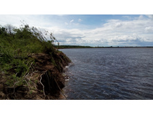 IMG 20180610 130418.jpg