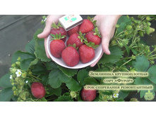 ������������ �����.jpg