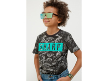 20110110111   Dickens   ������ �����(������).jpg