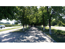 IMG 20180616 083814.jpg