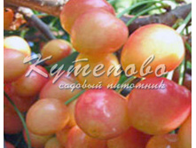 ������� ���� ����� � �4 627�