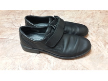 ����� �������� �������, �-� 36���. ����, ������� ���������, 300�