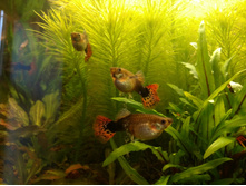 IMG 20180601 182049927 BURST000 COVER TOP.jpg