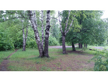 IMG 20180602 103152.jpg