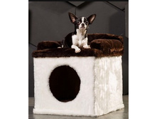 ����� - ����� "����� �� �������"