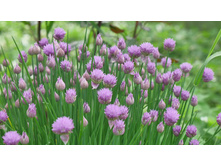 ����-���