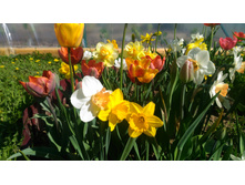 P 20180515 093501.jpg