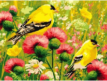 ������� �� ������� EX 5225 ������ ������ 30*40 ����: 300.00 RUB