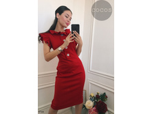 Plate-5710.jpg  1425���