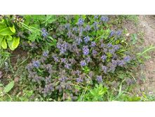 P 20180527 152237.jpg