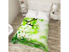 ��������� ��������. 03894 .jpg