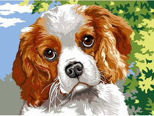 ������� �� ������� EX 5275 �����-�������� 30*40 ����: 300.00 RUB