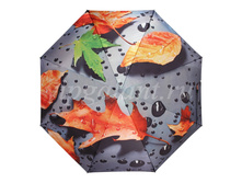 Zont-zhenskiy-163-diniya-3-slozh-s-a-satin-fotoprint-na-polnyy-kupol 36.jpg